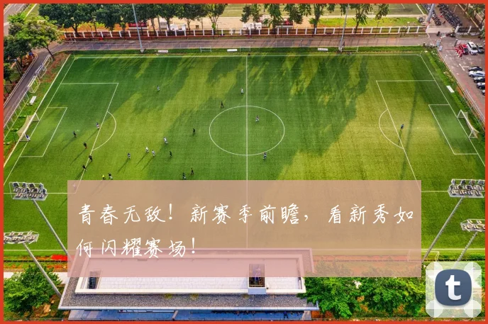 青春无敌！新赛季前瞻，看新秀如何闪耀赛场！