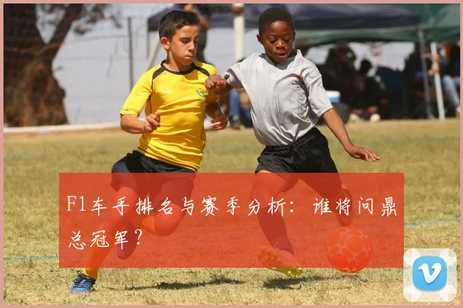 F1车手排名与赛季分析：谁将问鼎总冠军？