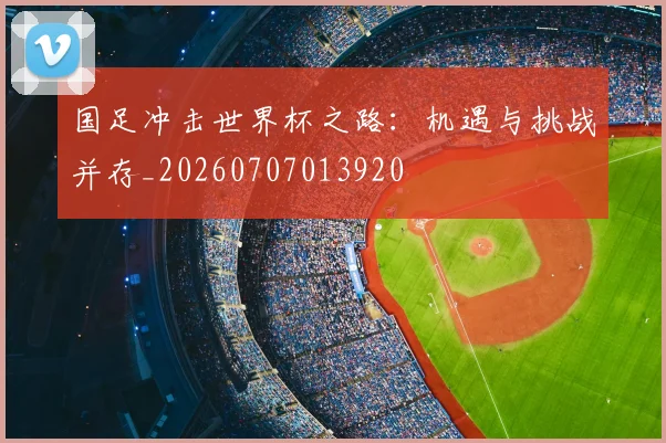 国足冲击世界杯之路：机遇与挑战并存_20260707013920